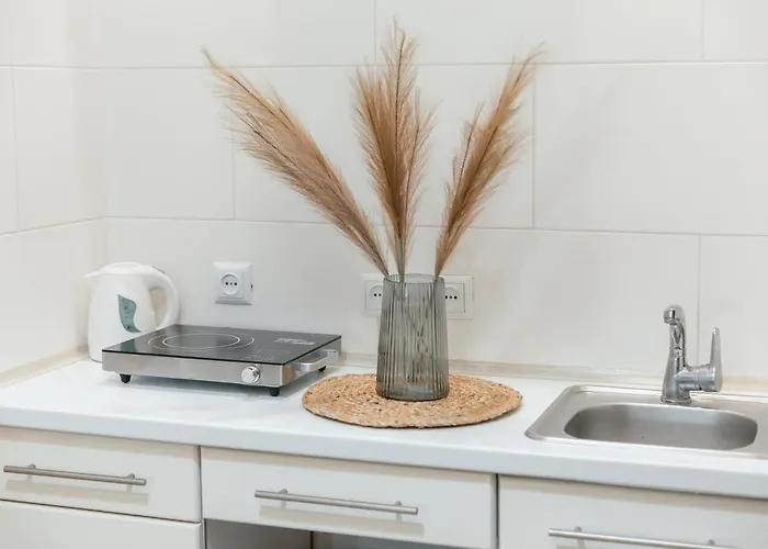 Apartment Mini Smart In Center! Super Price!!!